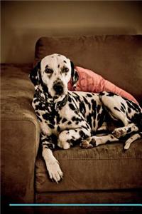 Dalmatian Affirmations Workbook Dalmatian Presents: Positive and Loving Affirmations Workbook. Includes: Mentoring Questions, Guidance, Supporting You.