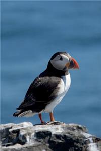 Puffin on a Rock Journal