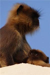 Hanuman Langur Monkey with Baby Journal