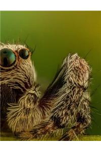 Arachnophobia