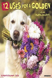12 Uses for a Golden 2020 Wall Calendar (Dog Breed Calendar)