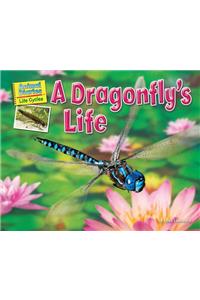 Dragonfly's Life