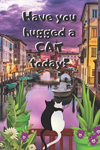 Have You Hugged a Cat Today