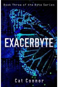 Exacerbyte