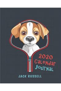 Jack Russell