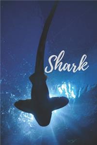 Shark