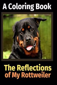 Reflections of My Rottweiler
