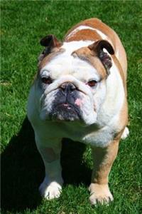 Bulldog Notebook