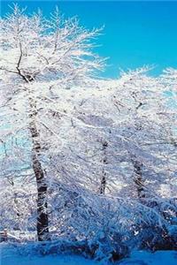 2019 Weekly Planner Winter Theme Snowy Forest 134 Pages