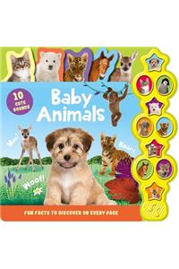 Baby Animals