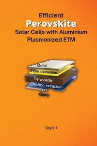 Efficient Perovskite Solar Cells with Aluminium Plasmonized ETM