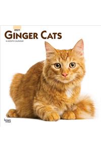 Ginger Cats 2021 Square