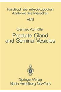 Prostate Gland and Seminal Vesicles