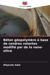 Béton géopolymère à base de cendres volantes modifié par de la nano-silice