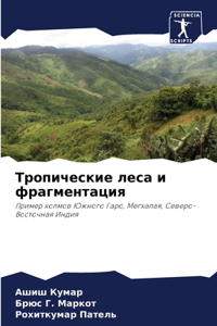 Тропические леса и фрагментация