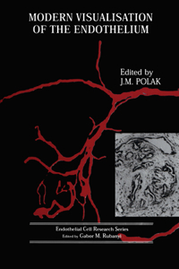 Modern Visualisation of the Endothelium