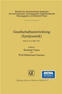 Gesellschaftsentwicklung (Syndynamik)