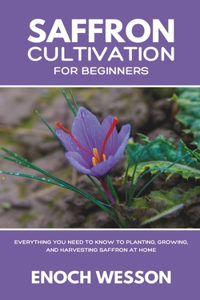 Saffron Cultivation for Beginners