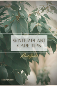 Winter Plant Care Tips