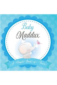 Baby Maddux A Simple Book of Firsts
