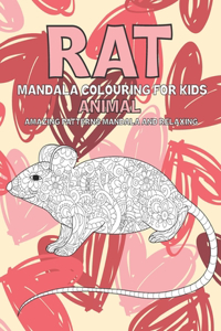 Mandala Colouring for Kids - Animal - Amazing Patterns Mandala and Relaxing - Rat
