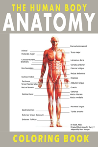 The Human Body Anatomy Coloring Book: The Ultimate Anatomy And Physiology Study Guide For Beginners !