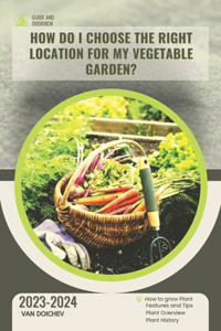 How do I choose the right location for my vegetable garden?