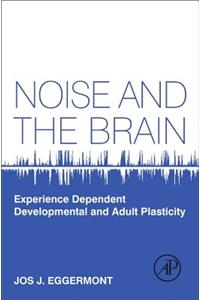 Noise and the Brain