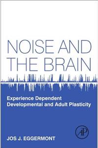 Noise and the Brain