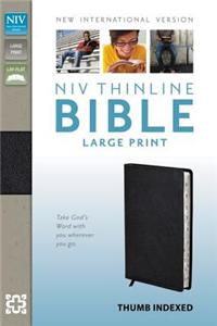 Thinline Bible-NIV-Large Print