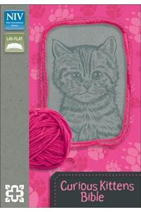 Curious Kittens Bible