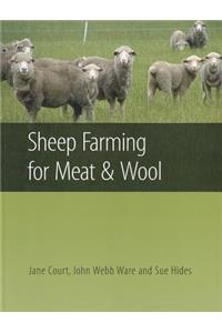 Sheep Farming for Meat & Wool