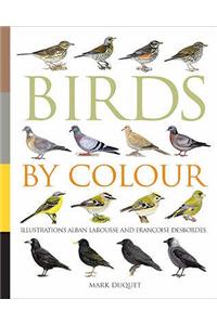 Birds by Colour