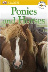 Ponies and Horses