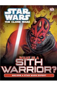What is a Sith Warrior?