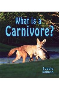 What is a Carnivore