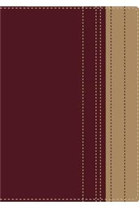 Santa Biblia Lectura Facil-Rvr 1977