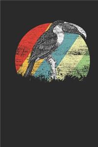 Toucan