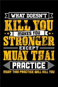 What doesn't kill you makes you stronger except Muay Thai practice Muay Thai practice will kill you