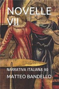 Novelle VII