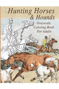 Hunting Horses & Hounds