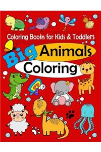 Coloring Books for Kids & Toddlers