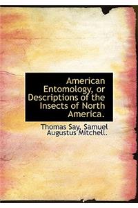 American Entomology, or Descriptions of the Insects of North America.