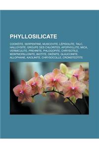 Phyllosilicate