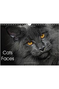 Cat Faces 2018