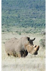 Alive! white rhino - Natural - Photo Art Notebooks (5 x 8 series)