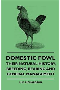 Domestic Fowl - Their Natural History, Breeding, Rearing And General Management