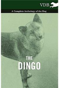 The Dingo - A Complete Anthology of the Dog -