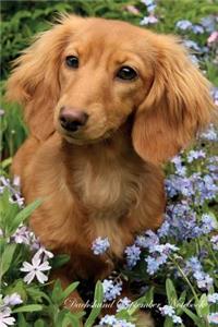 Dachshund September Notebook Dachshund Record, Log, Diary, Special Memories, to Do List, Academic Notepad, Scrapbook & More