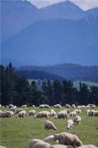 New Zealand Sheep Farm Journal